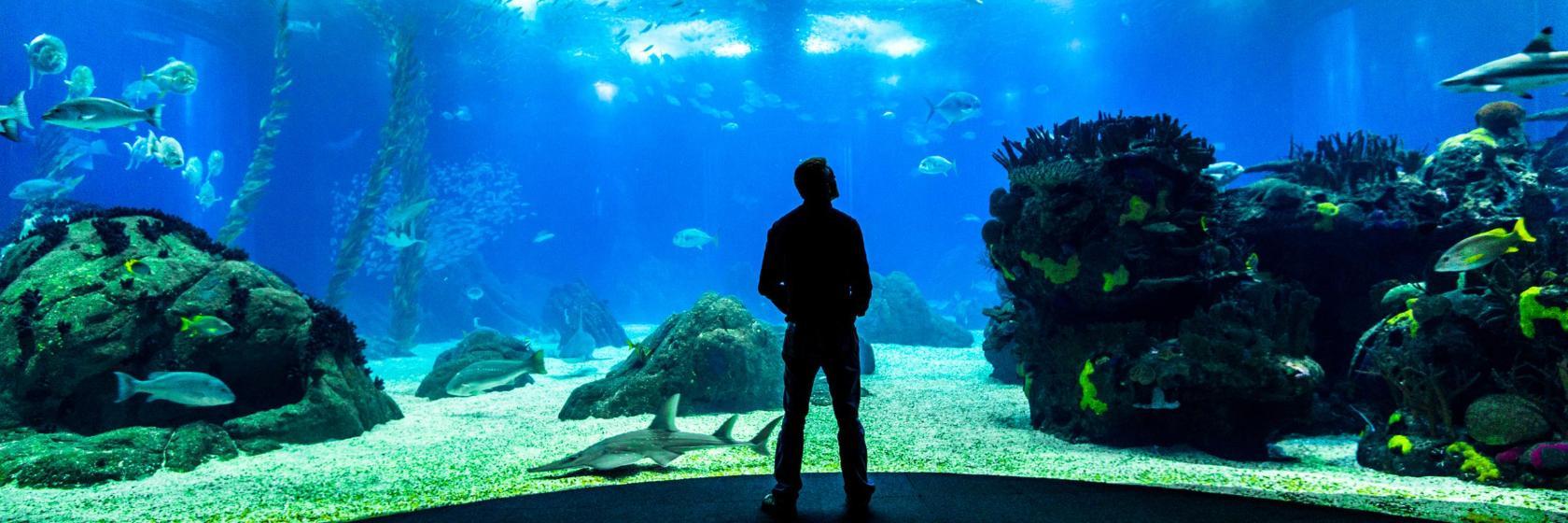 Oceanario de Lisboa